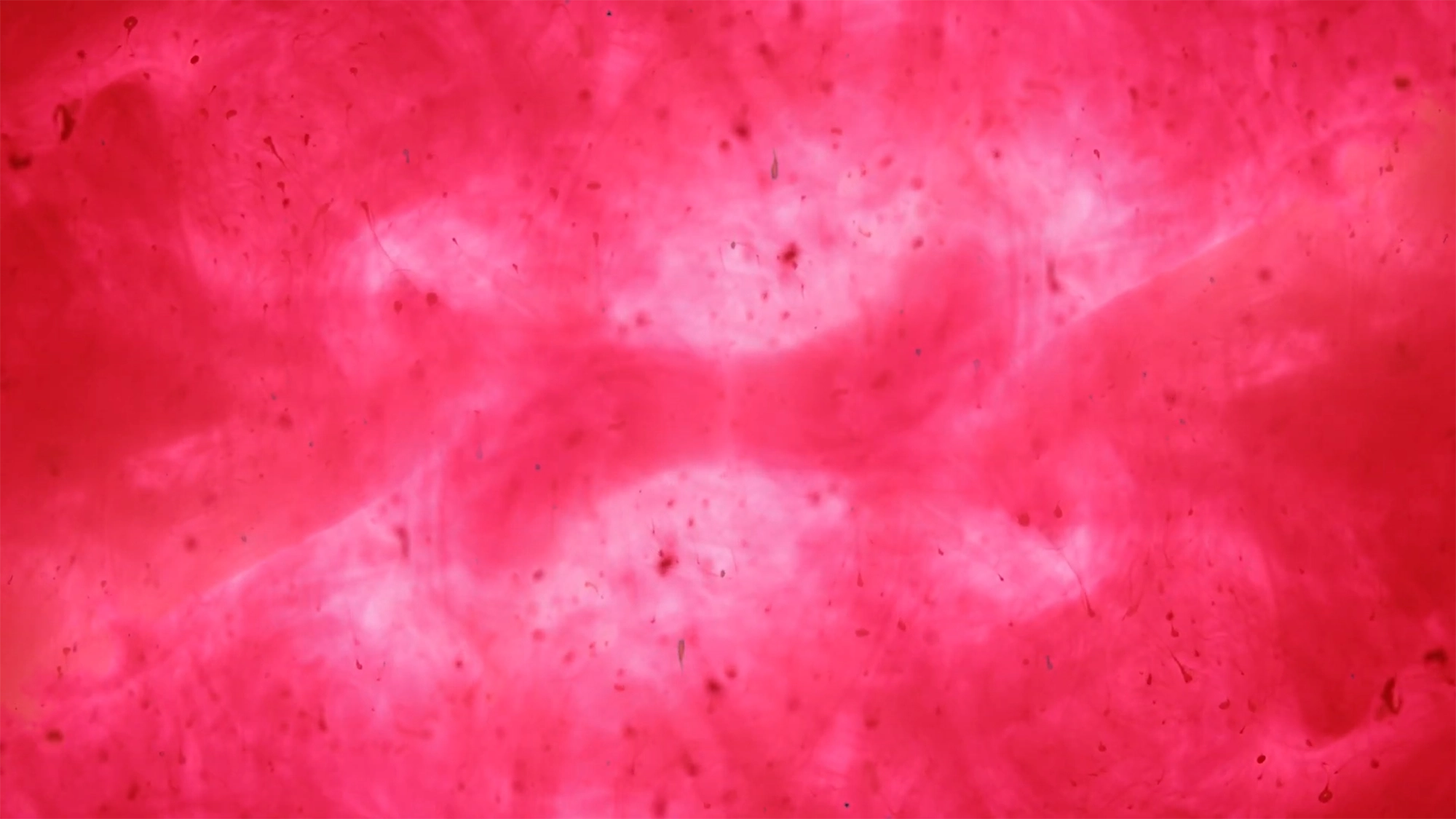 video_explosioncolor